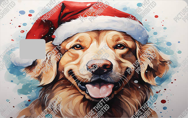 Bank  Card Sticker-BC-2617